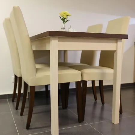 Wellness U Gigantu 4* Plzeň