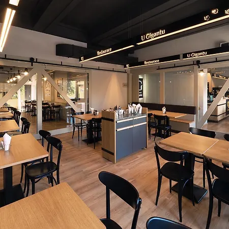 Wellness U Gigantu 4* Plzen