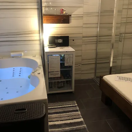 Casa de hóspedes Wellness U Gigantu Plzeň